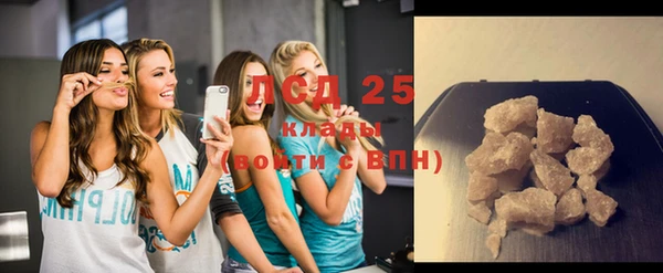 ГАЛЛЮЦИНОГЕННЫЕ ГРИБЫ Елабуга