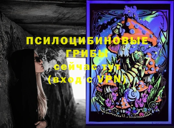 спиды Елизово