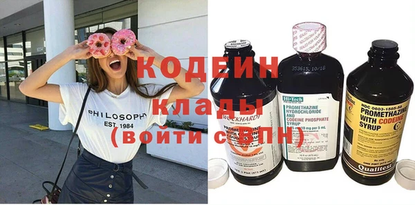 ГАЛЛЮЦИНОГЕННЫЕ ГРИБЫ Елабуга