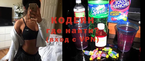 ГАЛЛЮЦИНОГЕННЫЕ ГРИБЫ Елабуга