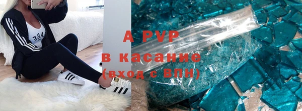 ГАЛЛЮЦИНОГЕННЫЕ ГРИБЫ Елабуга
