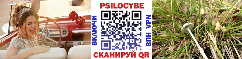 Псилоцибиновые грибы мухоморы Купить Томари